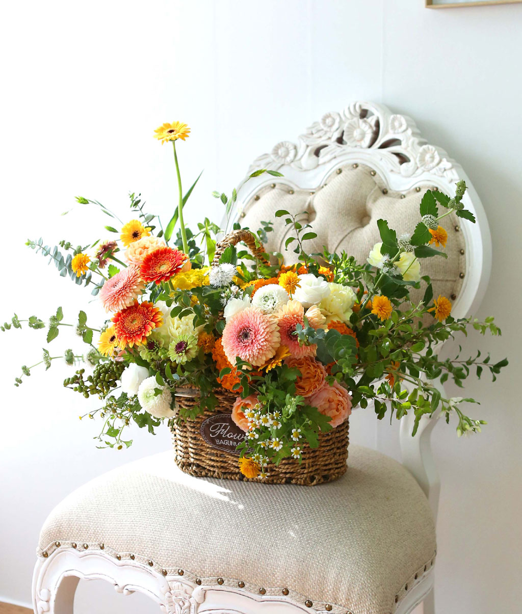 Celebrate Fall -    ɹ