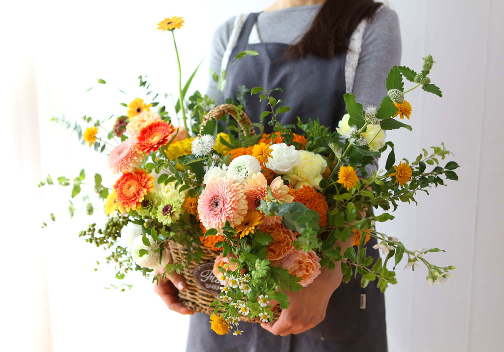 Celebrate Fall -    ɹ