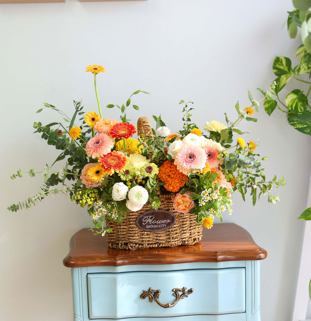 Celebrate Fall -    ɹ