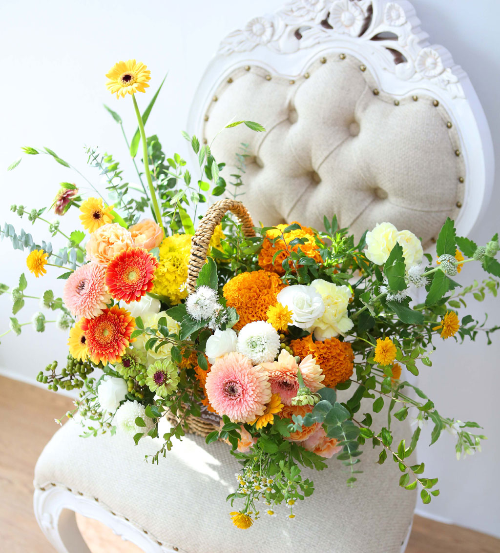 Celebrate Fall -    ɹ