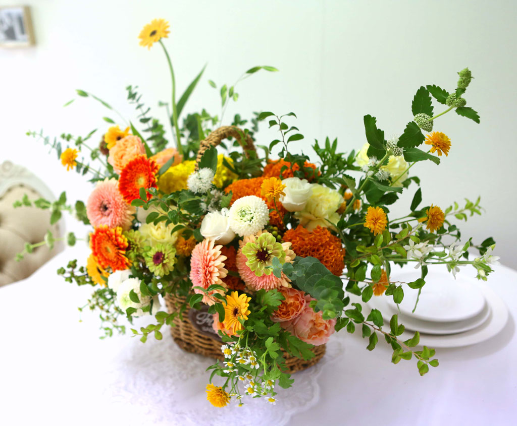 Celebrate Fall -    ɹ