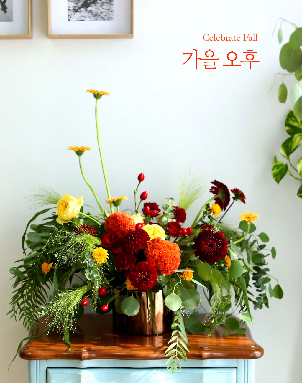 [/ǹ]Celebrate Fall -    ɹ