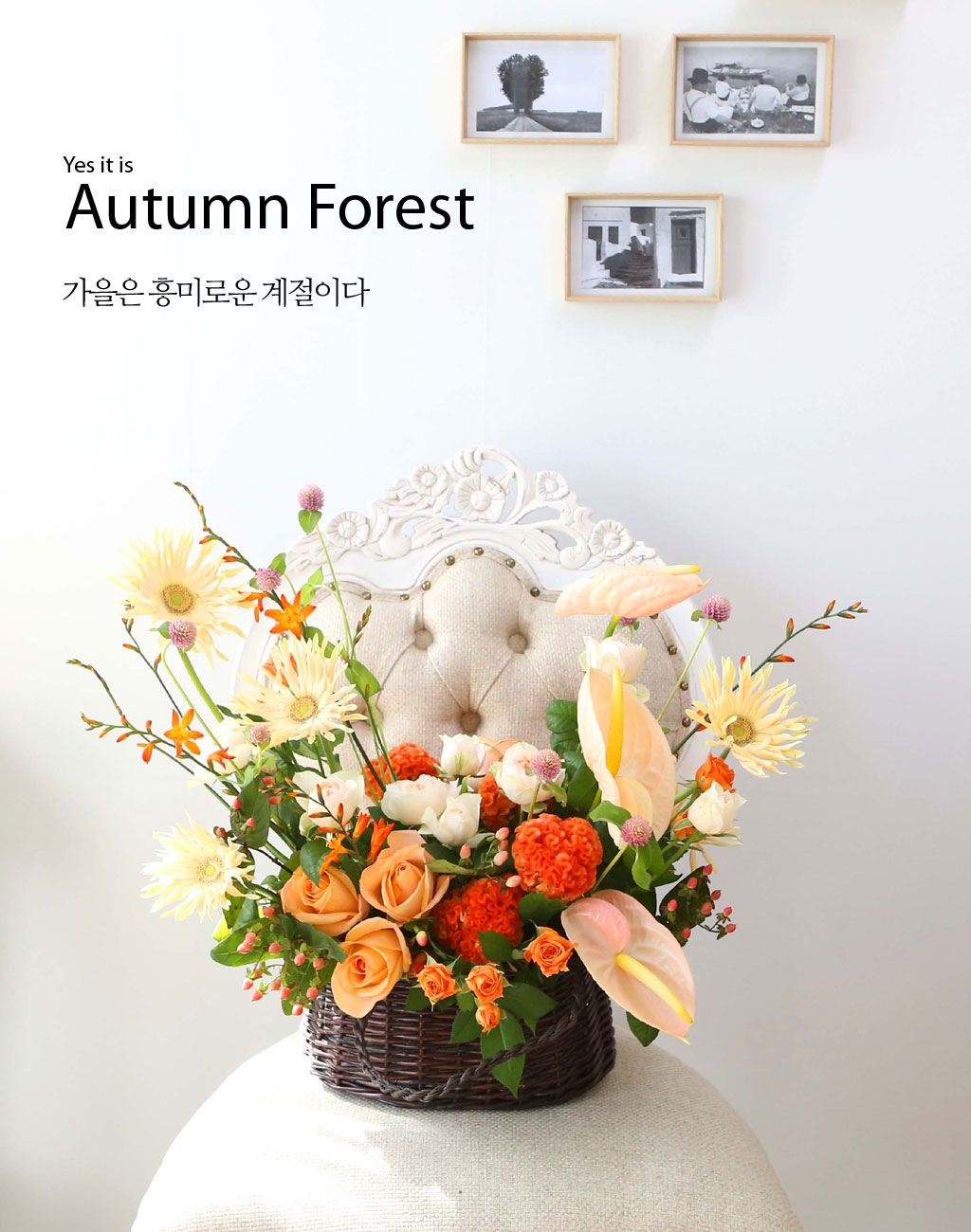 Yes it is   Autumn Forest  ɹ