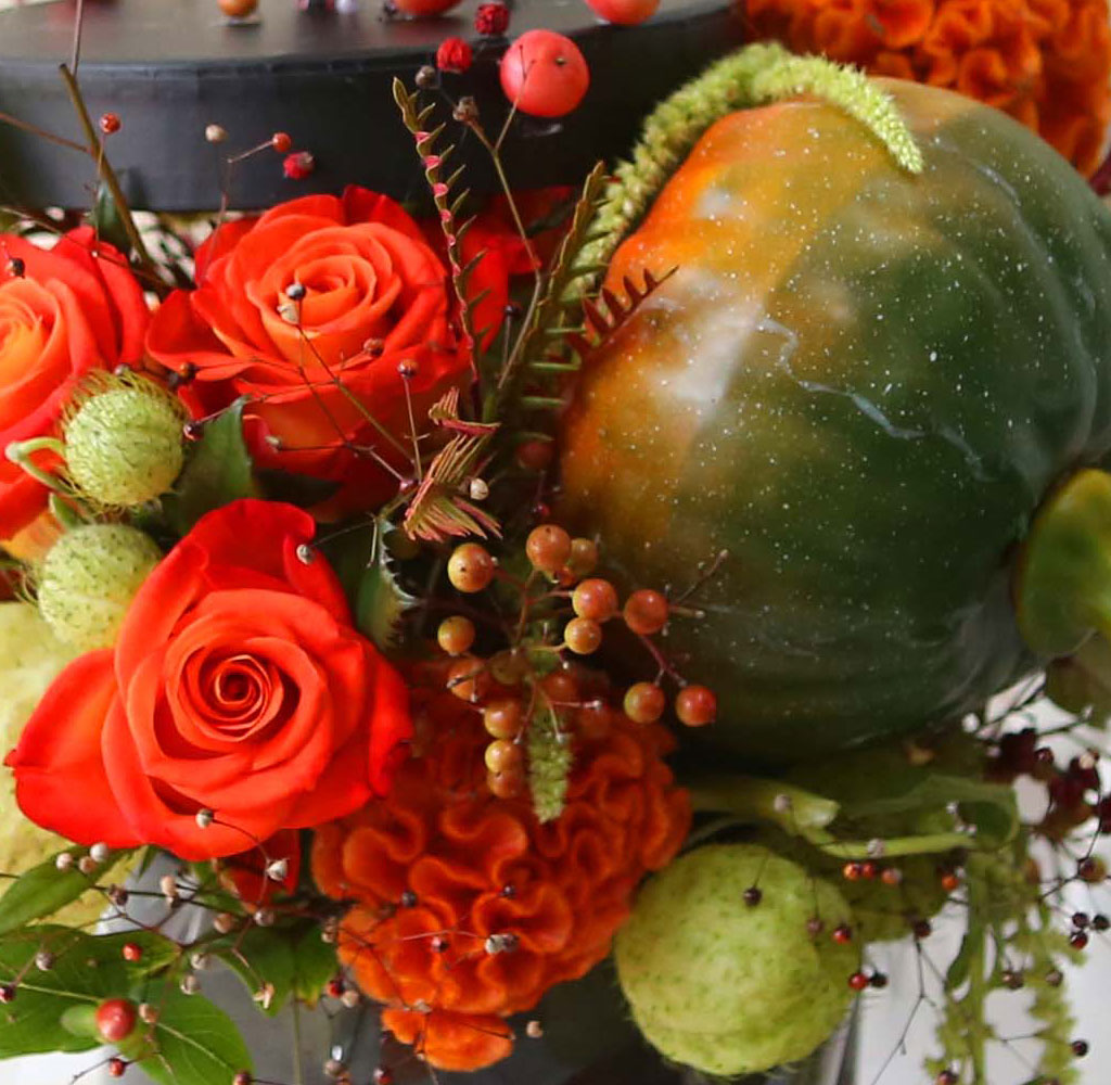 Happy Halloween - THE JOY OF LIFE  ɹ