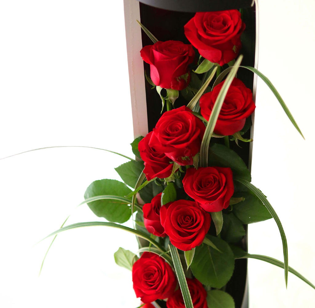 ̱ü - vital roses  ɹ