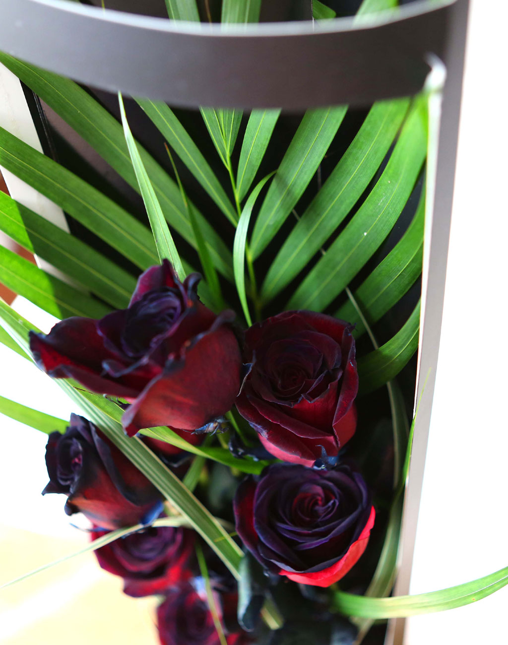 ̱ü - Red night()  ɹ