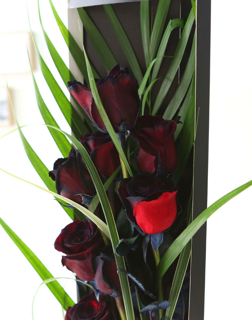 ̱ü - Red night()  ɹ