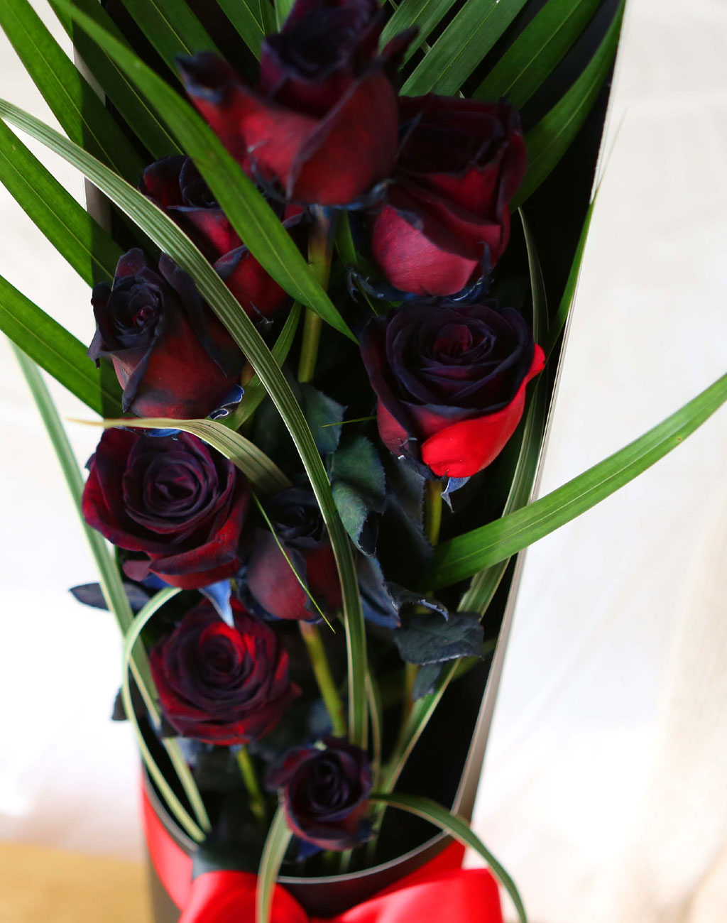 ̱ü - Red night()  ɹ