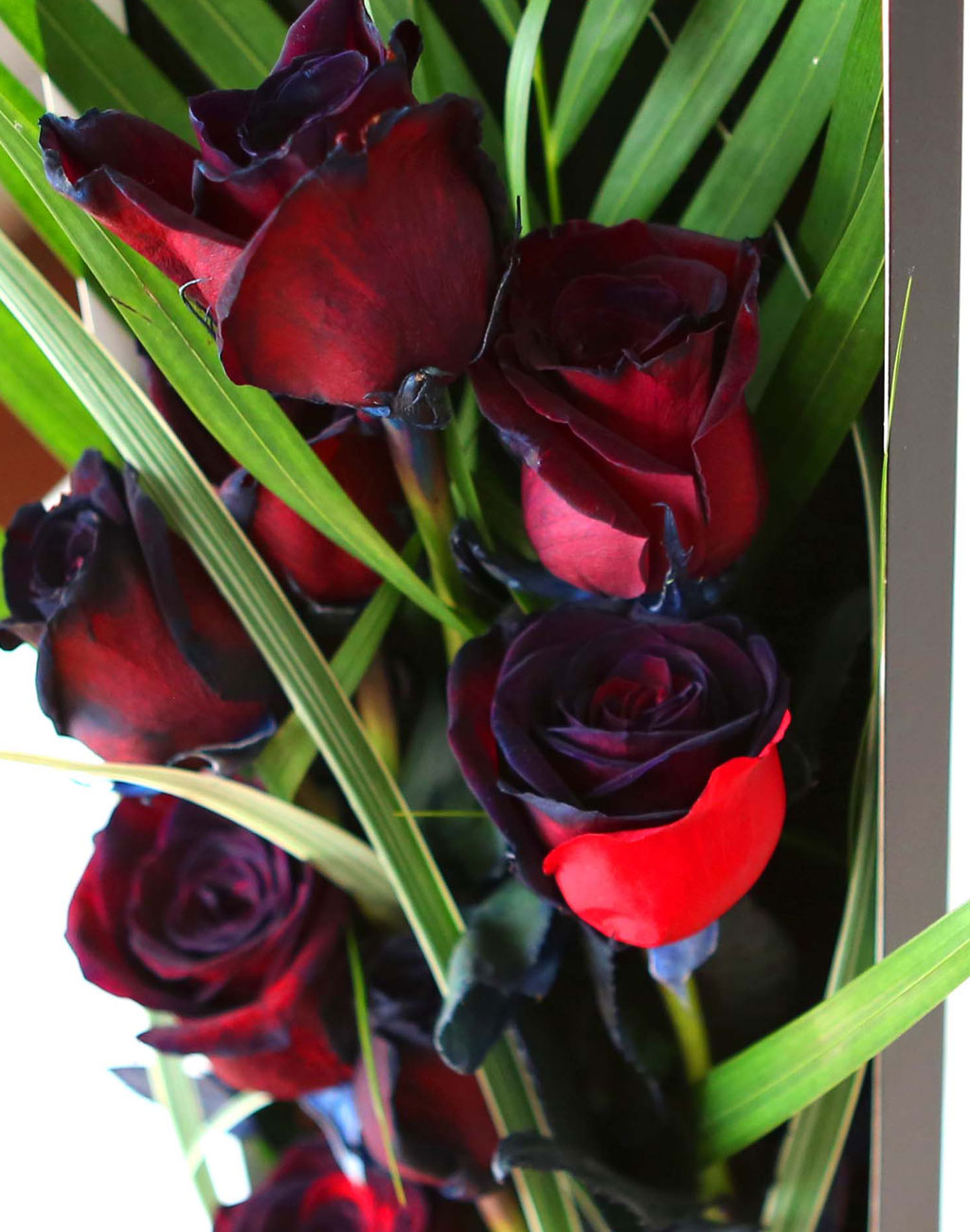 ̱ü - Red night()  ɹ