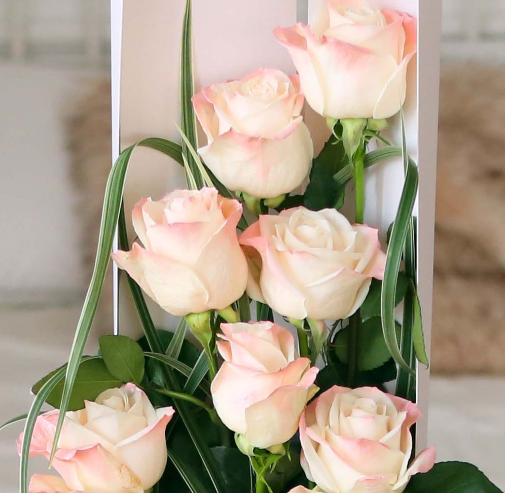 ̱ü - Pearl Satin  ɹ