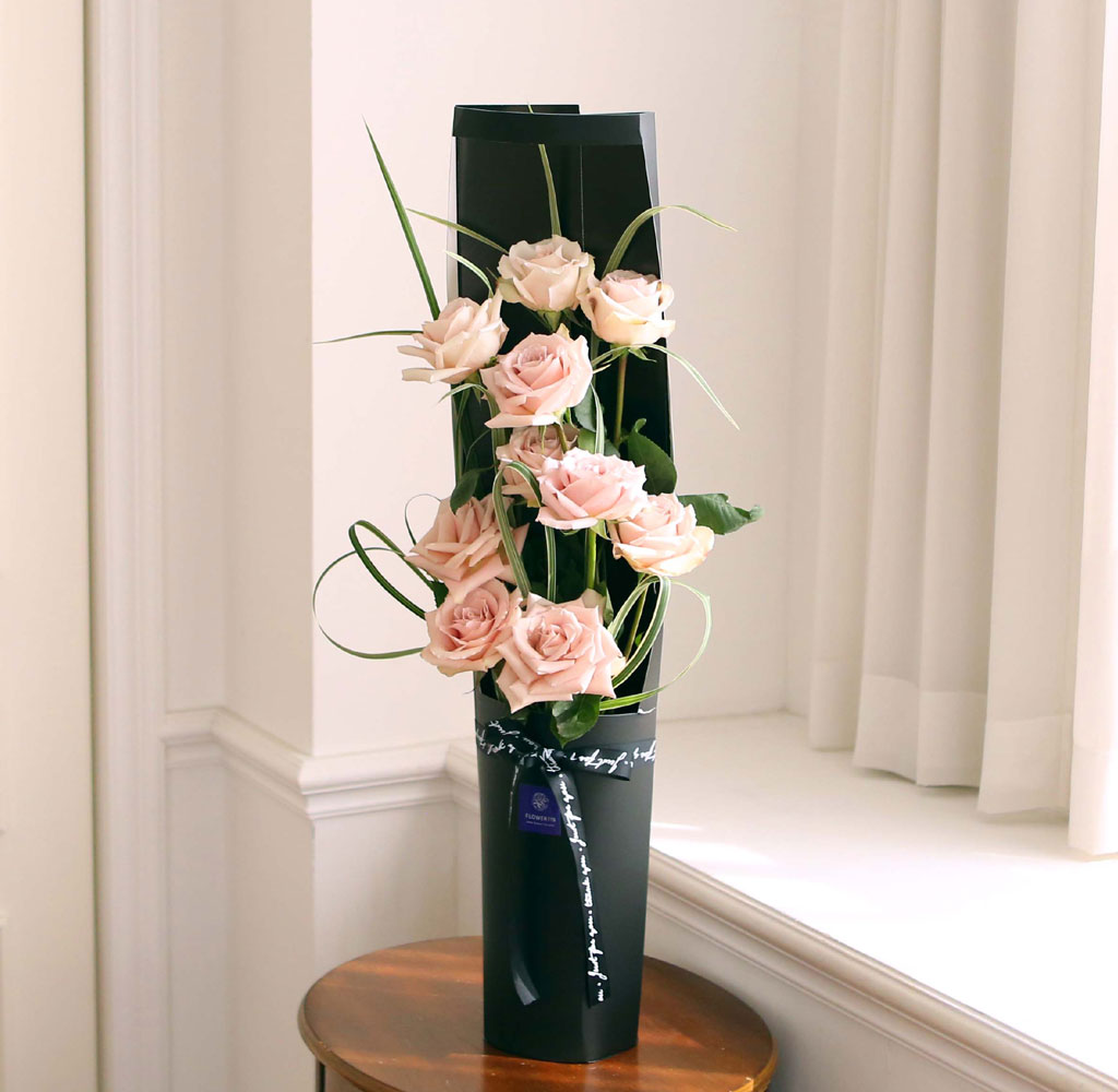 ̱ü - Quick Sand(Ƽ)  ɹ