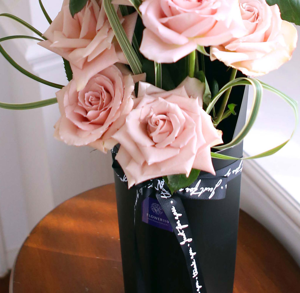 ̱ü - Quick Sand(Ƽ)  ɹ