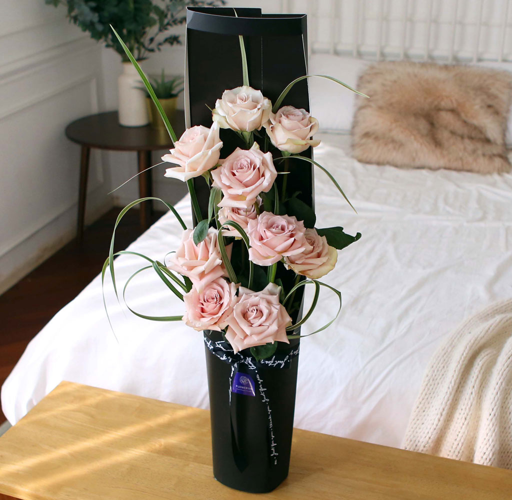 ̱ü - Quick Sand(Ƽ)  ɹ