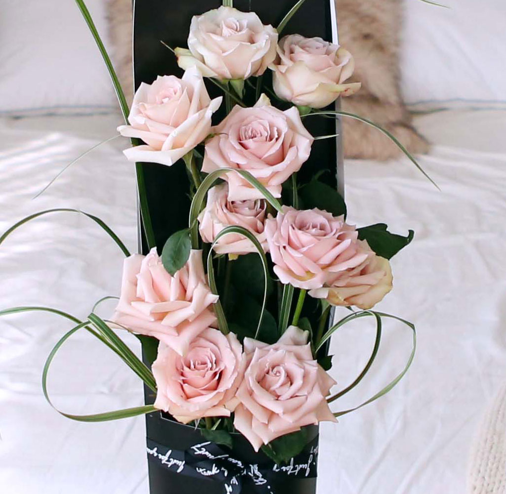 ̱ü - Quick Sand(Ƽ)  ɹ