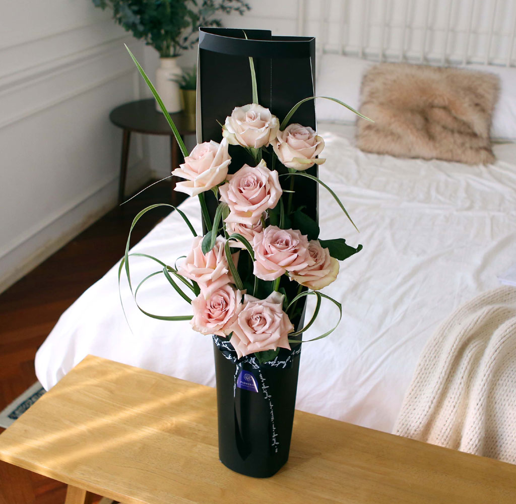 ̱ü - Quick Sand(Ƽ)  ɹ