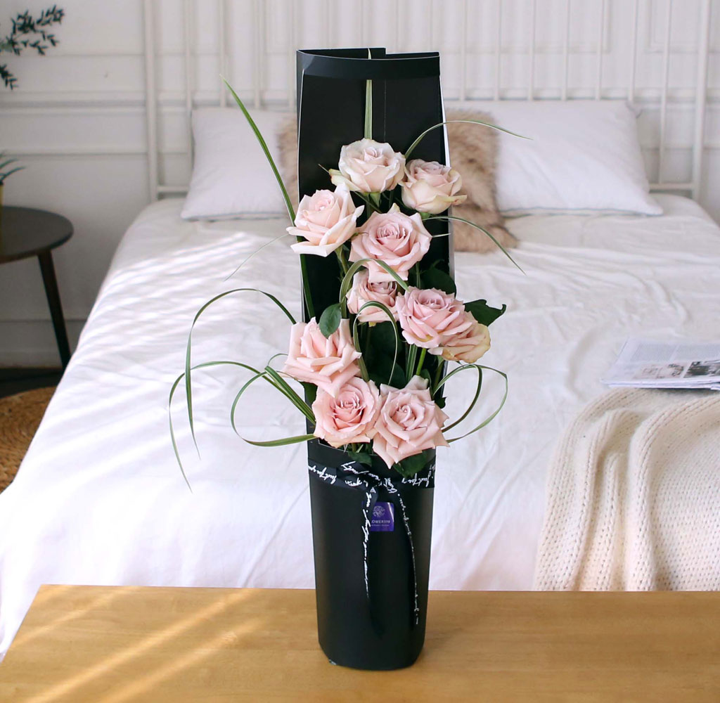 ̱ü - Quick Sand(Ƽ)  ɹ