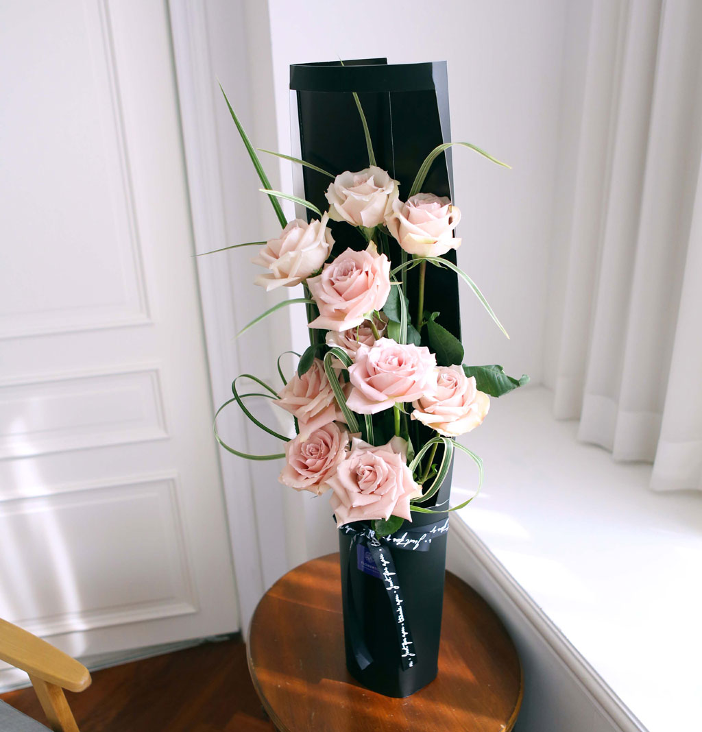 ̱ü - Quick Sand(Ƽ)  ɹ