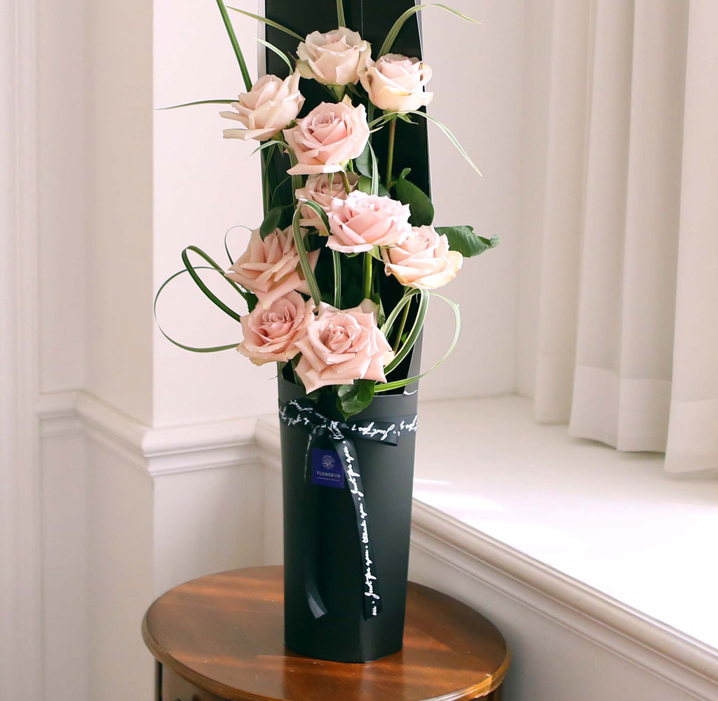 ̱ü - Quick Sand(Ƽ)  ɹ