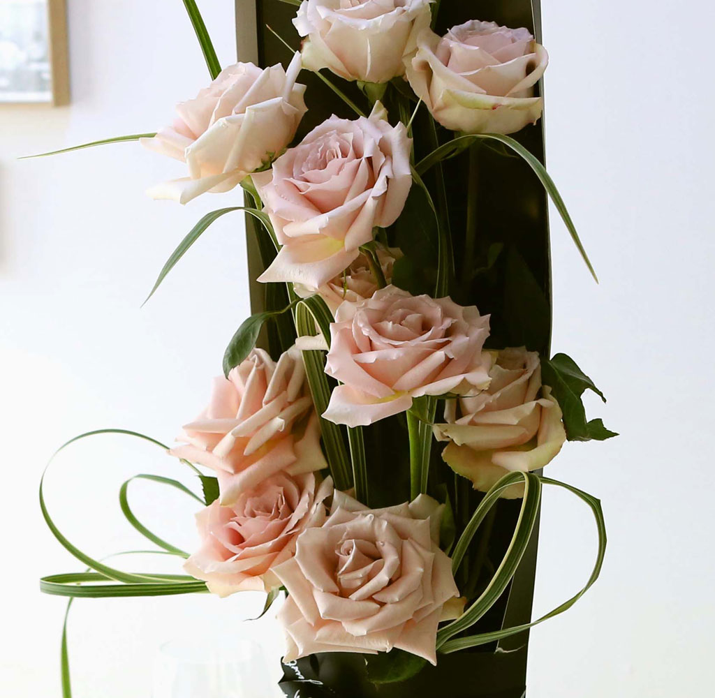 ̱ü - Quick Sand(Ƽ)  ɹ