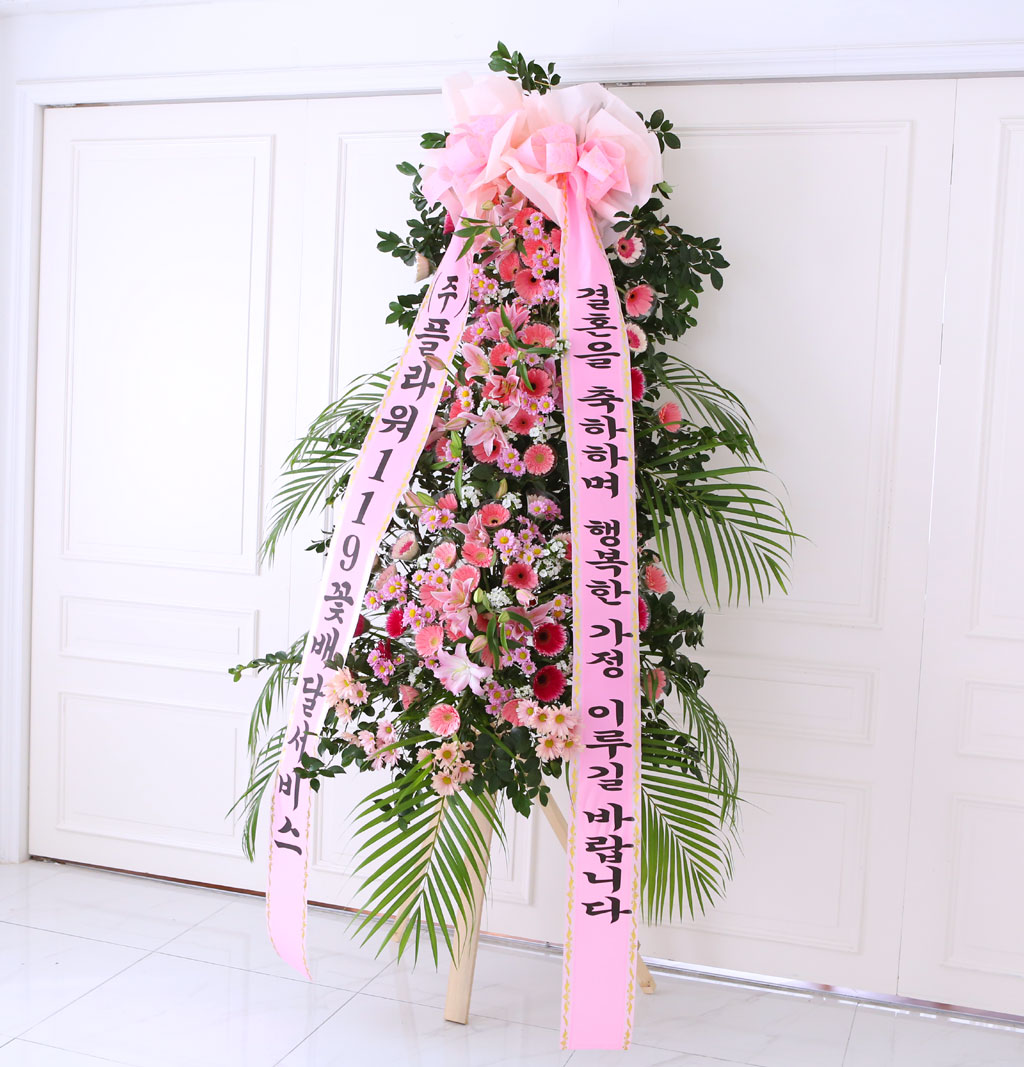 3ȭȯ -  ȭ ȭȯ  ɹ