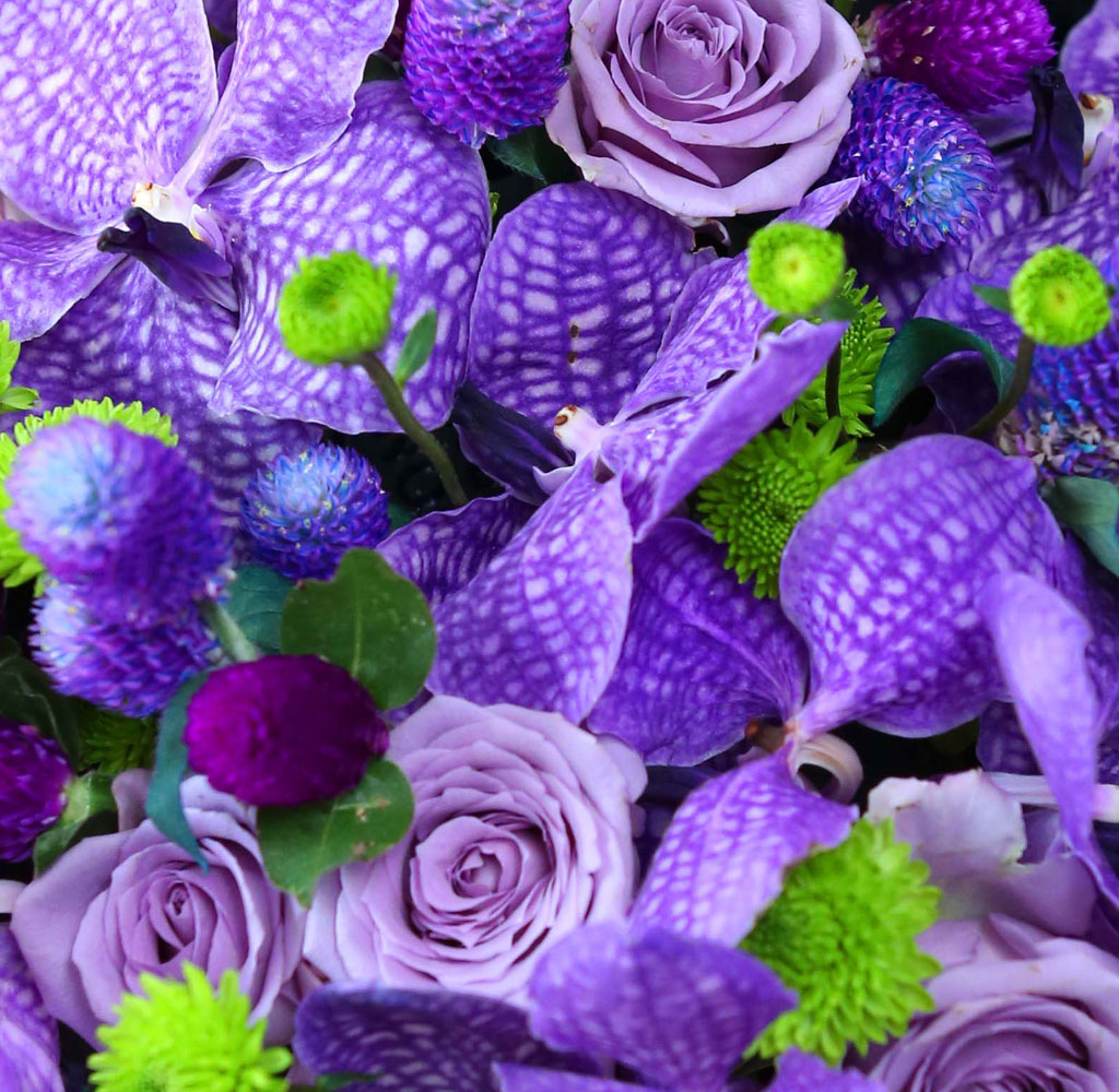 Yes it is   祕Ӵ  ɹ