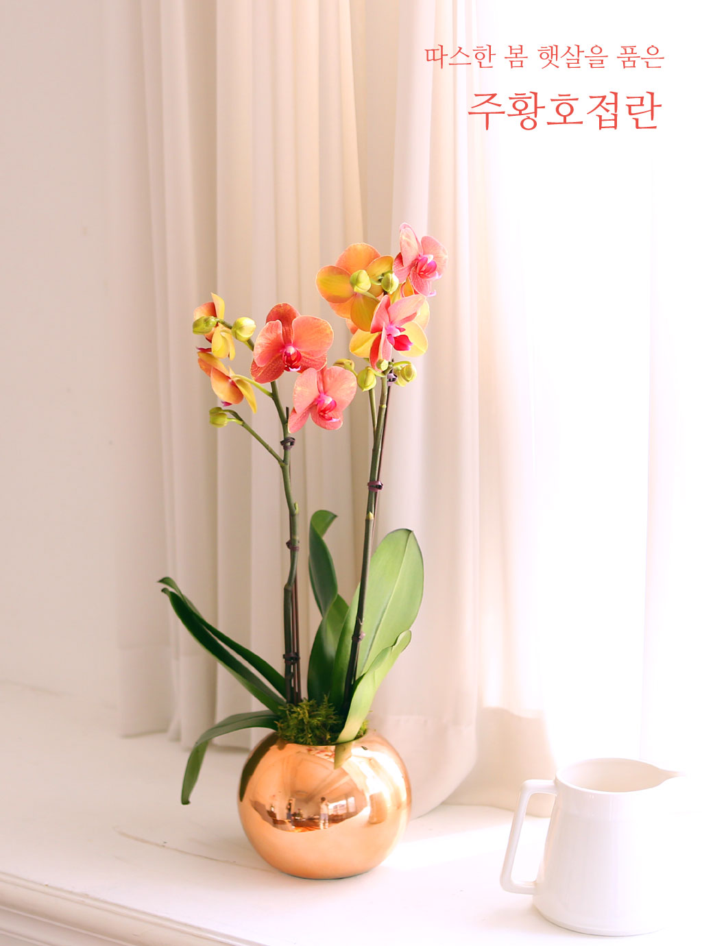 [, Ż]   ޻ ǰ Ȳȣ  ɹ