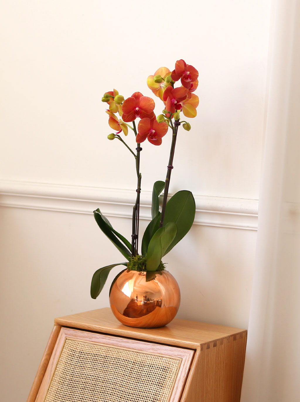 [, Ż]   ޻ ǰ Ȳȣ  ɹ