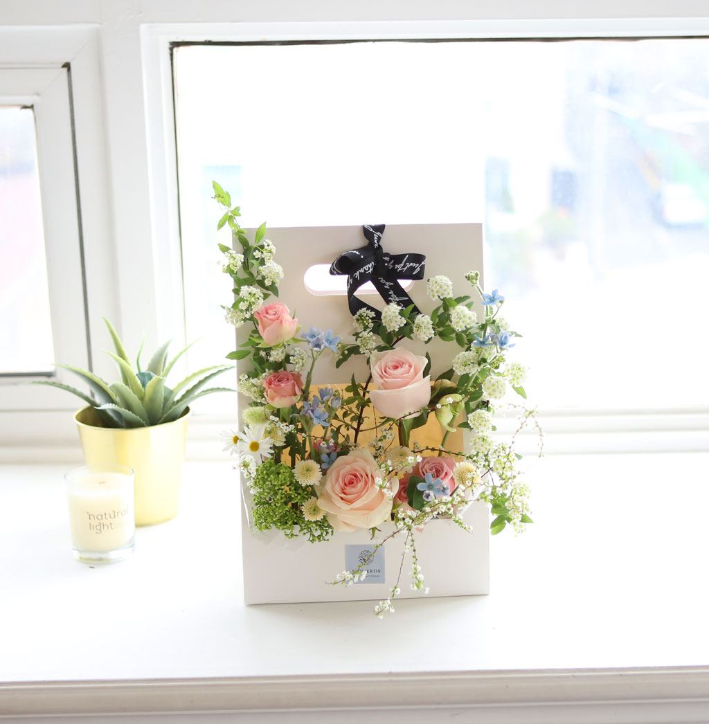 {] ȭƮ -  ö ڵ  ɹ