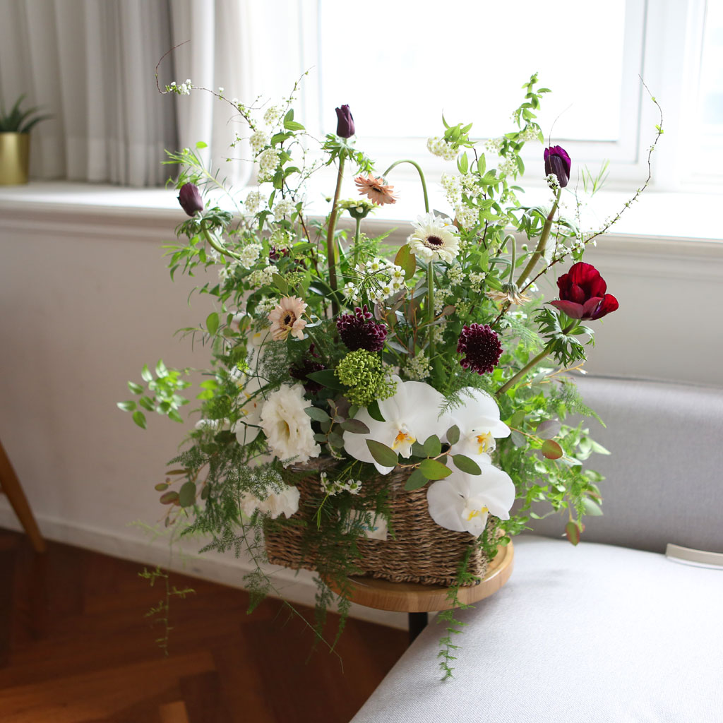 Yes it is White butterfly  ɹ