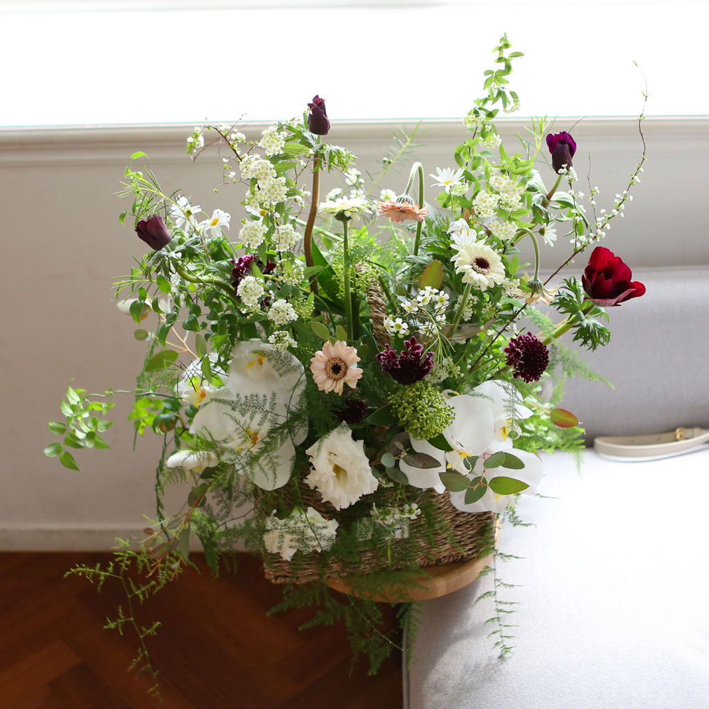 Yes it is White butterfly  ɹ