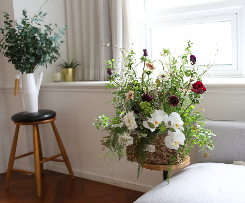 Yes it is White butterfly  ɹ