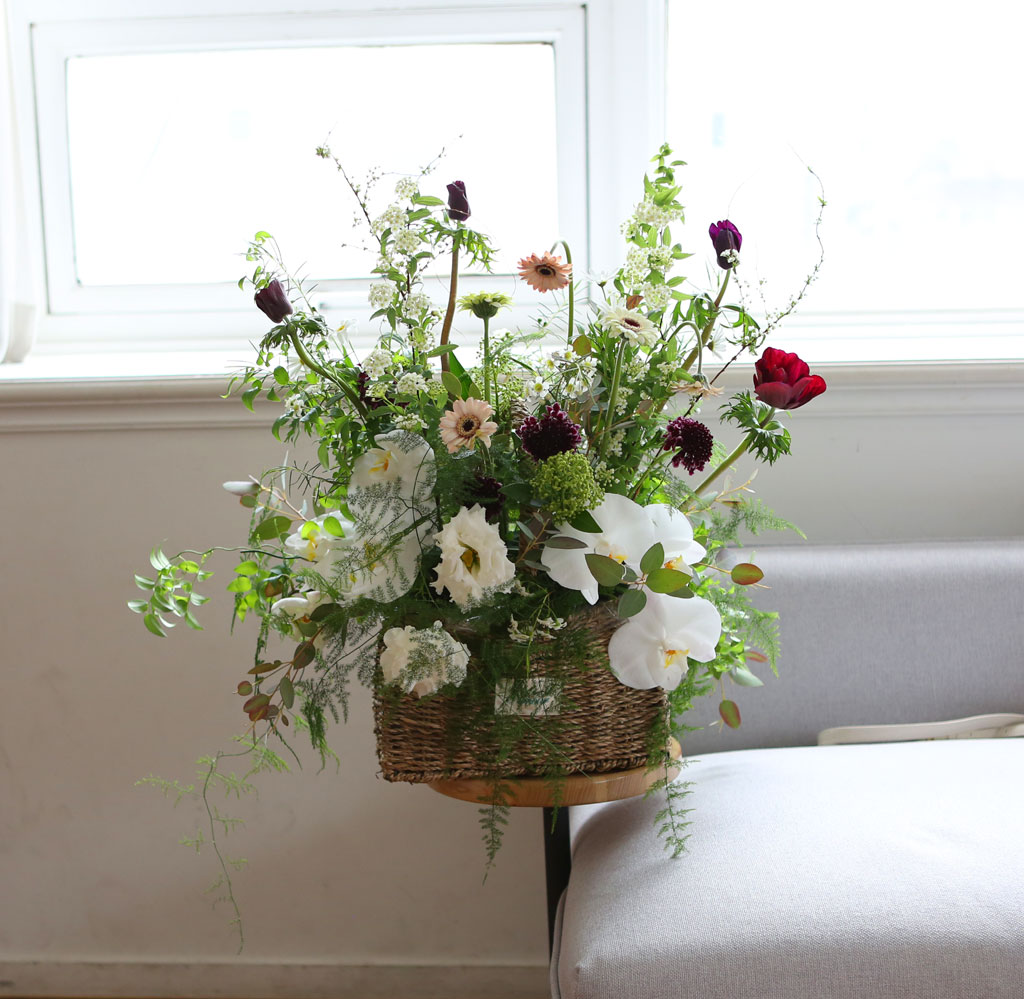 Yes it is White butterfly  ɹ