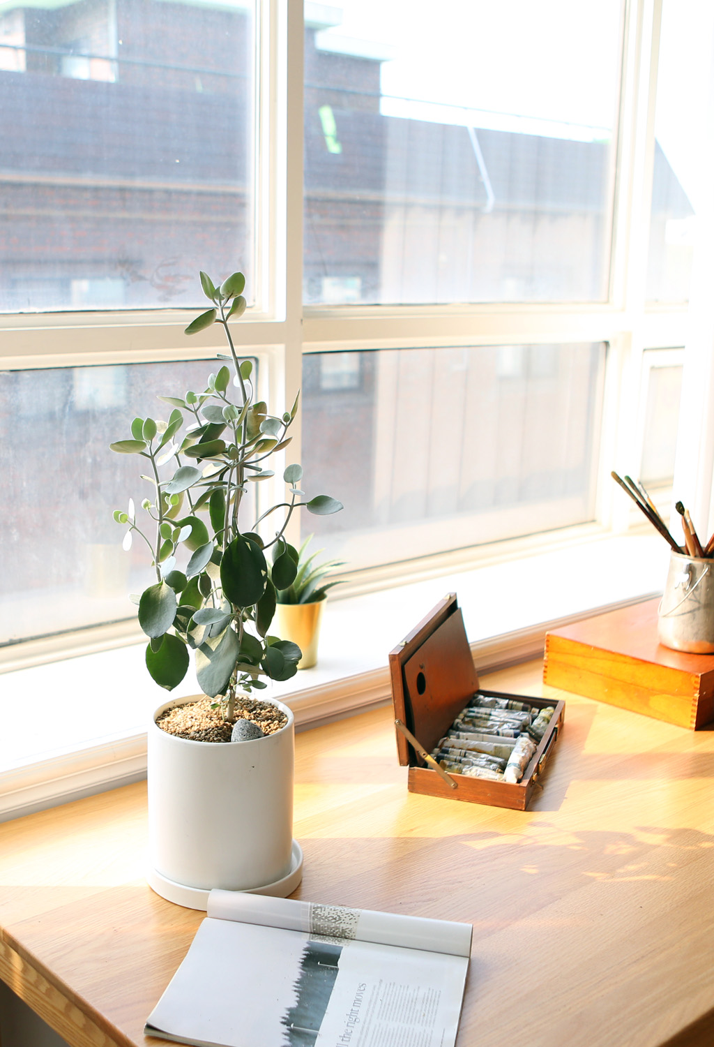 ½Åºñ·Î¿î °ü¿±½Ä¹° ½Ç¹ö½ºÇ¬