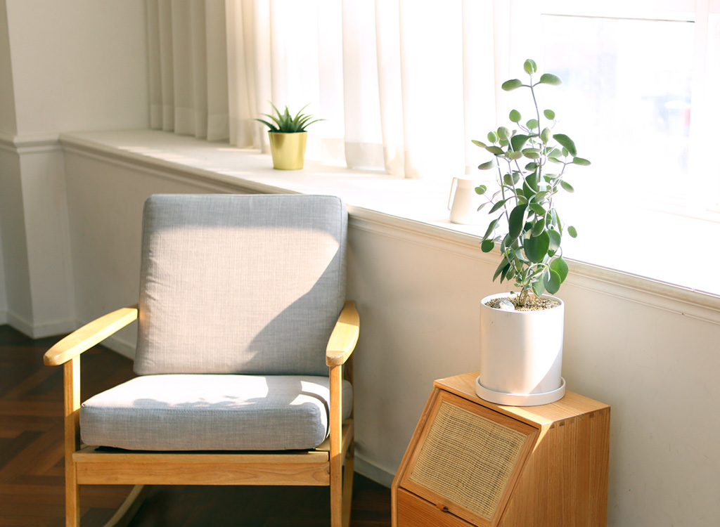 ½Åºñ·Î¿î °ü¿±½Ä¹° ½Ç¹ö½ºÇ¬