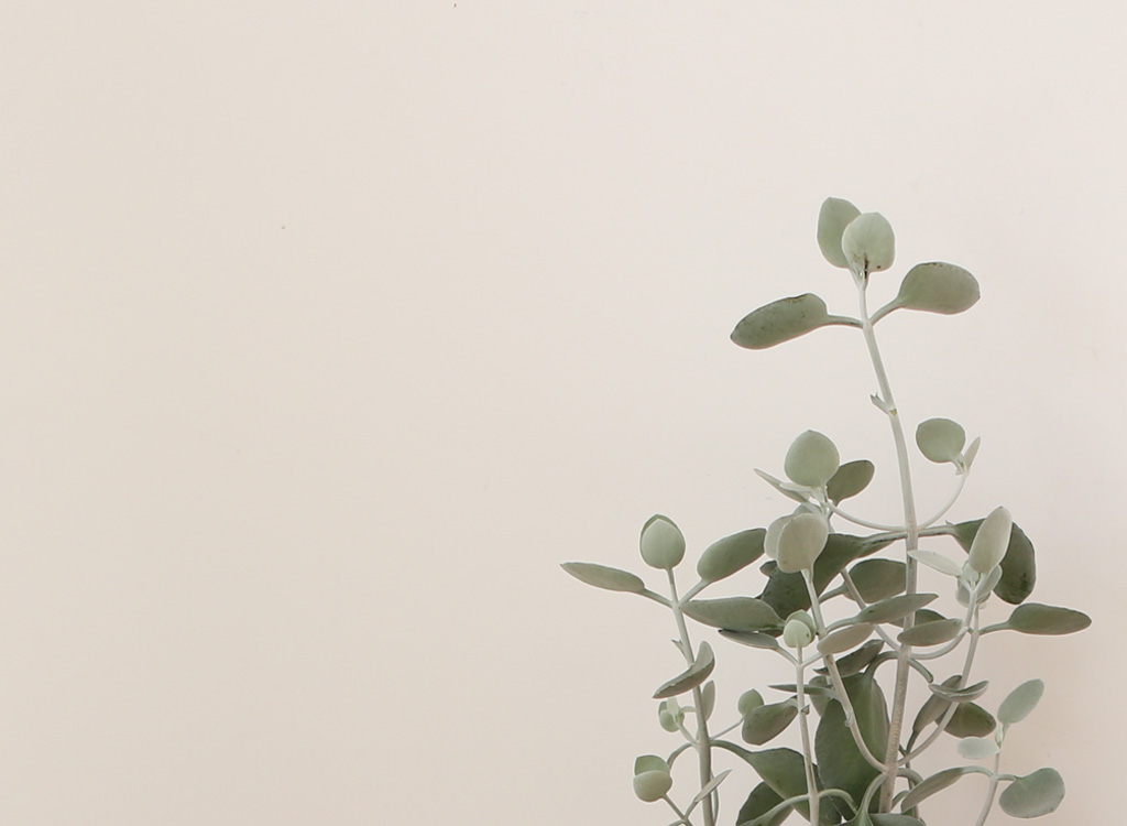 ½Åºñ·Î¿î °ü¿±½Ä¹° ½Ç¹ö½ºÇ¬