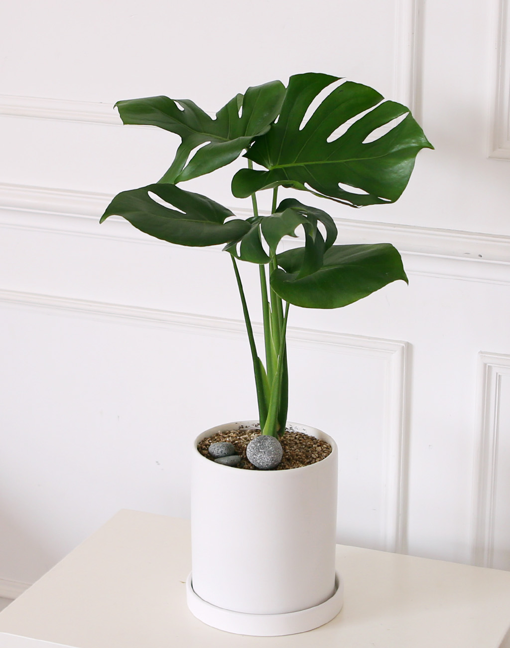 []̱  - ׶(ȭ⺯)  ɹ