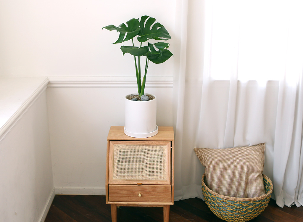 []̱  - ׶(ȭ⺯)  ɹ