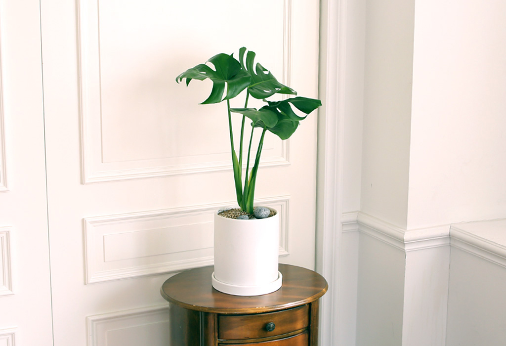 []̱  - ׶(ȭ⺯)  ɹ