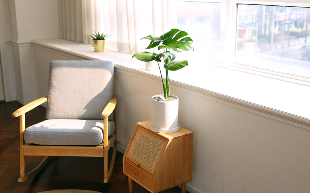 []̱  - ׶(ȭ⺯)  ɹ