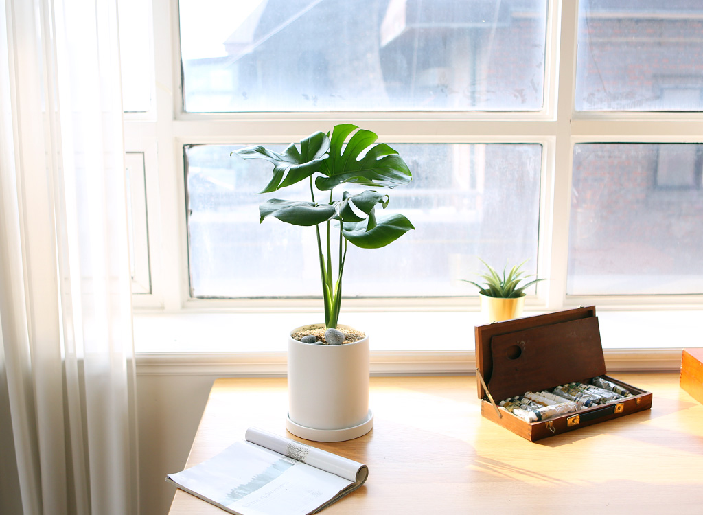 []̱  - ׶(ȭ⺯)  ɹ