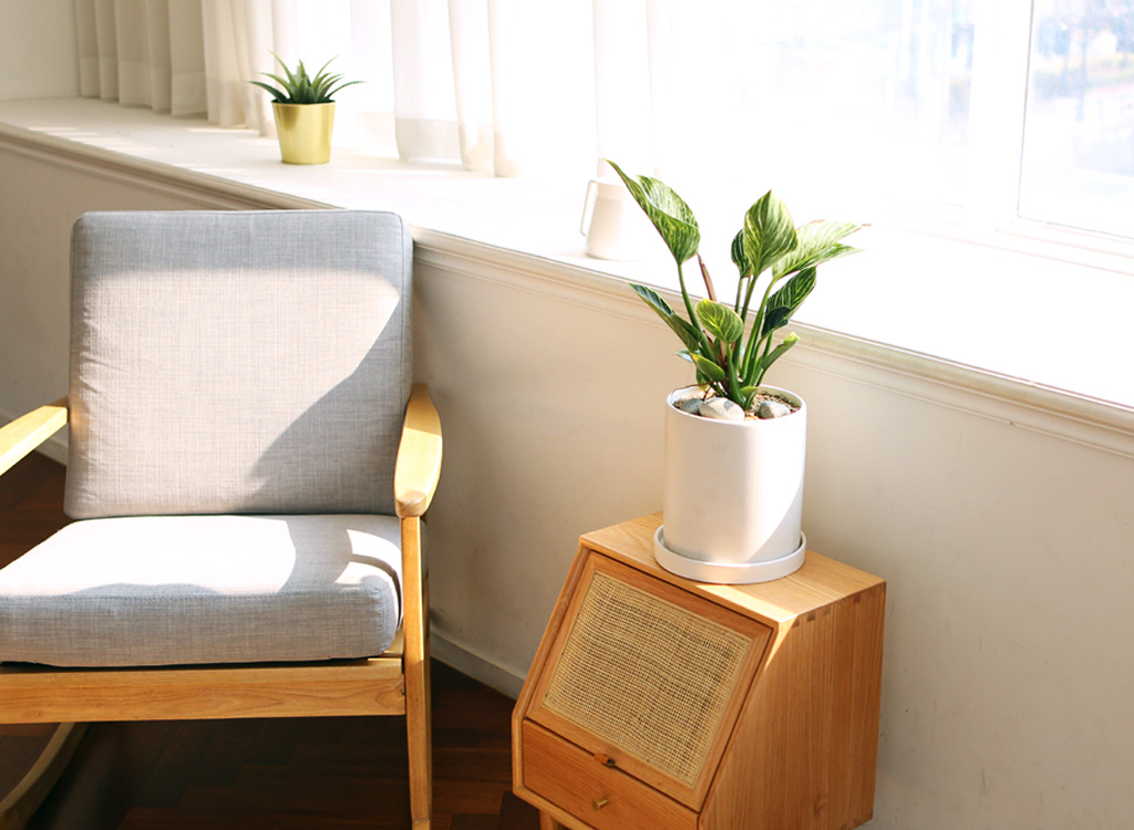 »ö´Ù¸¥ ¾Æ¸§´Ù¿òÀÇ ÀÙ - ¹öŲÄá°í