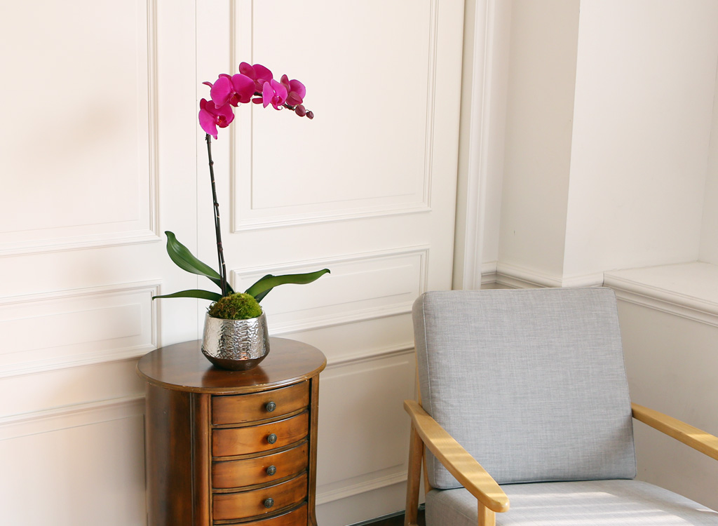 ¾Æ¸§´ä°í Çâ±â·Î¿î ÁøÇÎÅ© È£Á¢¶õ (¼Ò) ²ÉÁý ²É¹è´Þ