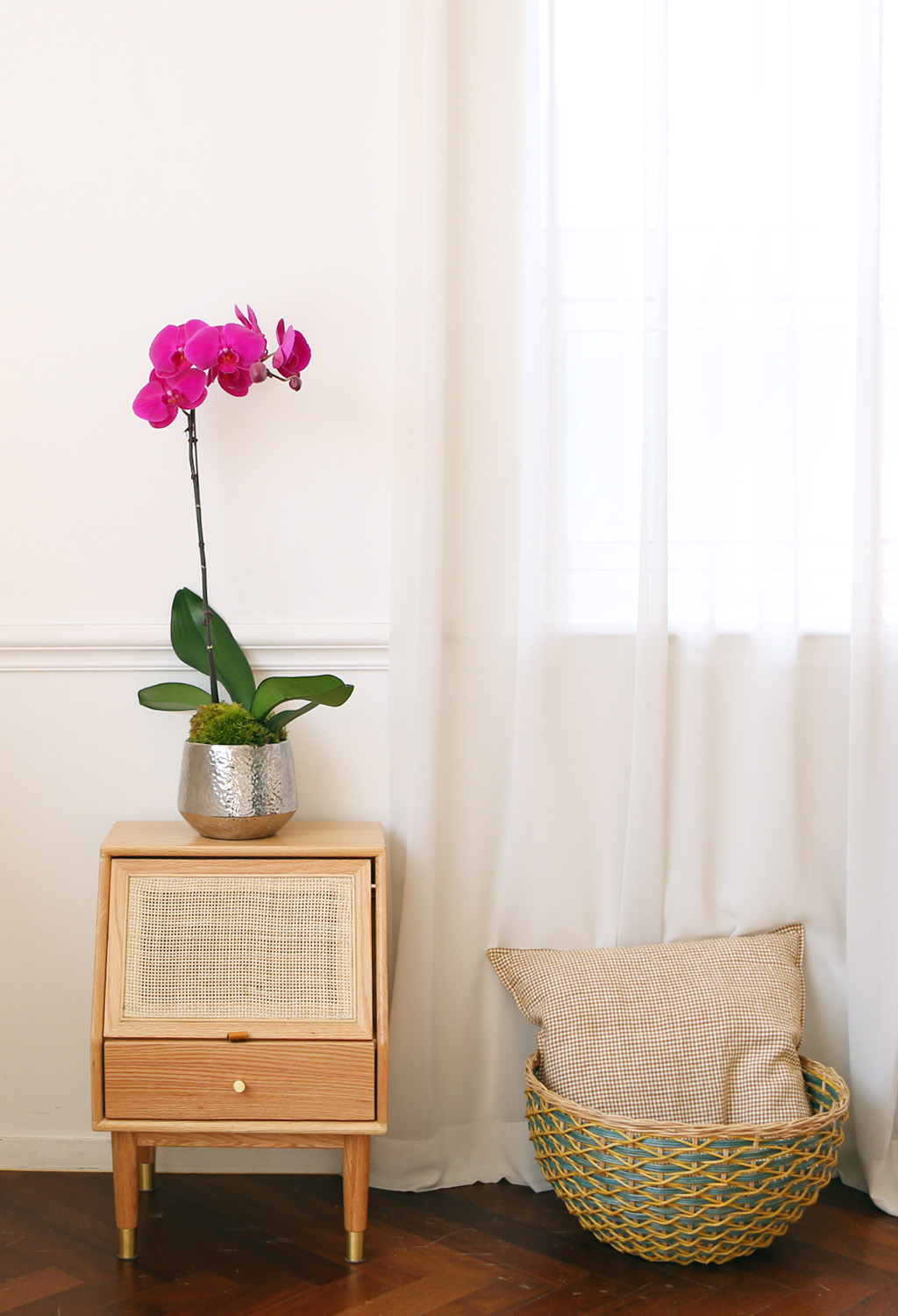 ¾Æ¸§´ä°í Çâ±â·Î¿î ÁøÇÎÅ© È£Á¢¶õ (¼Ò) ²ÉÁý ²É¹è´Þ