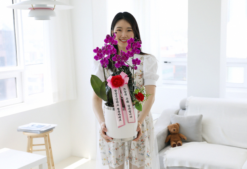 []ϴ   - ɺȫ õȫ ()