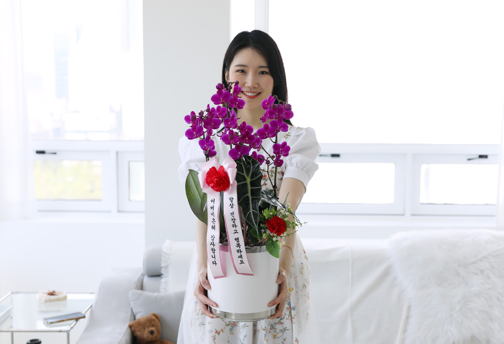 []ϴ   - ɺȫ õȫ ()