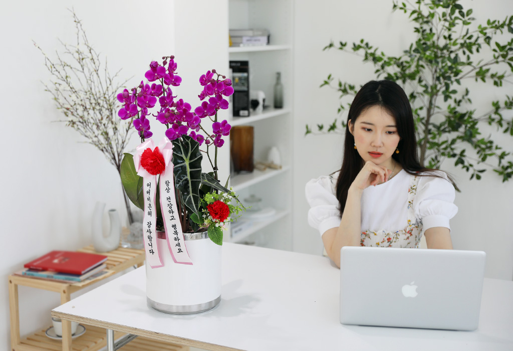 []ϴ   - ɺȫ õȫ ()