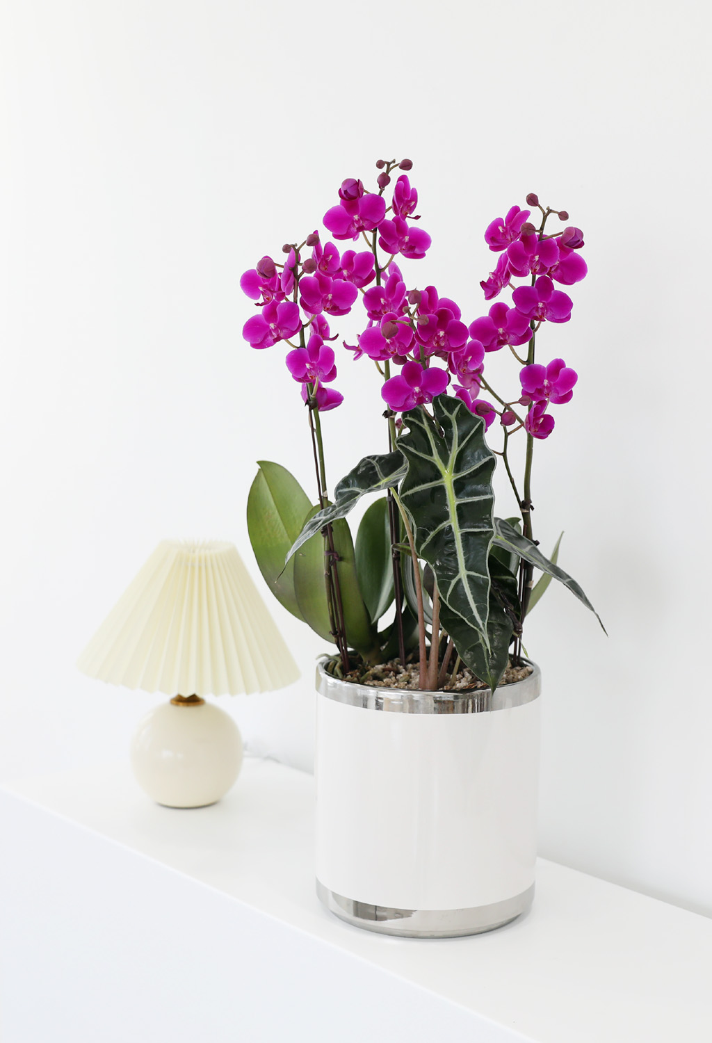 []ϴ   - ɺȫ õȫ ()