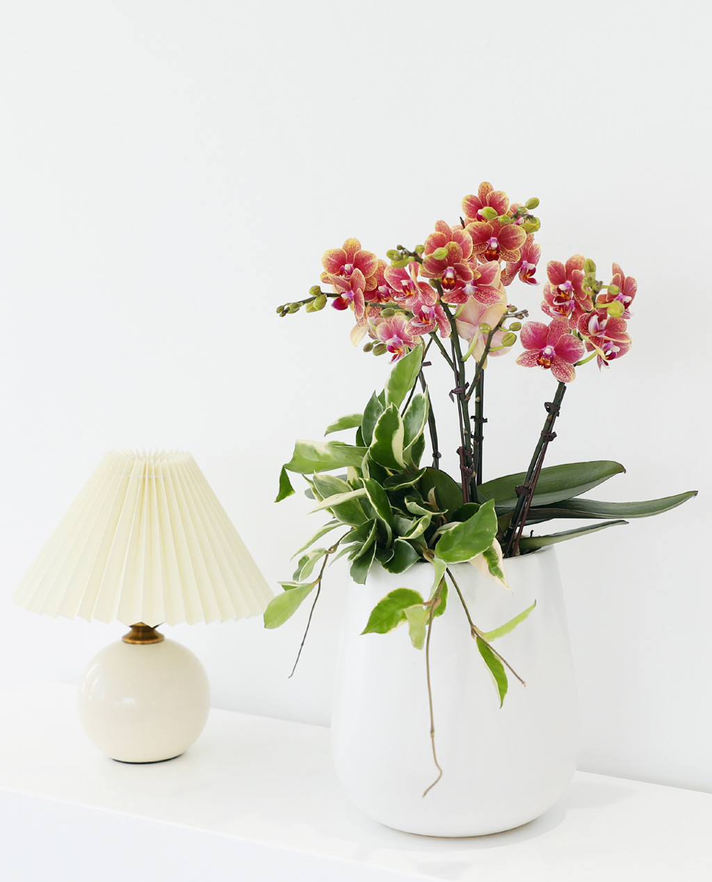 []ϴ   - ȣ  () (ȭ⺯)  ɹ