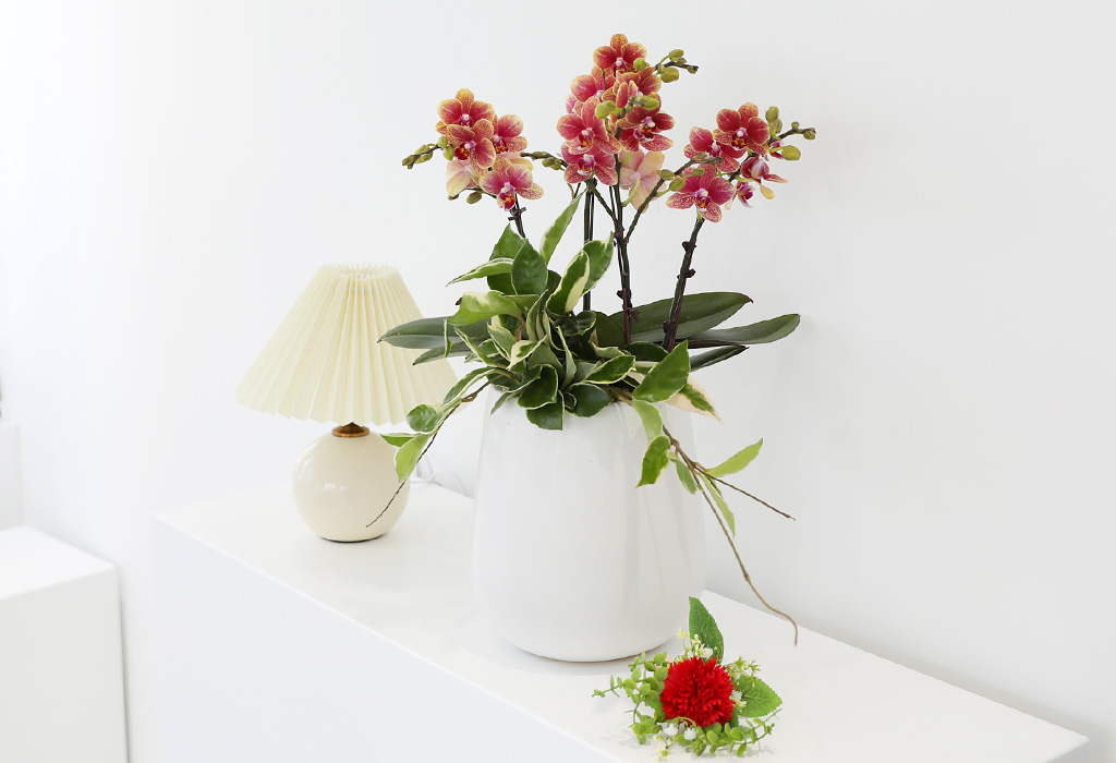 []ϴ   - ȣ  () (ȭ⺯)  ɹ