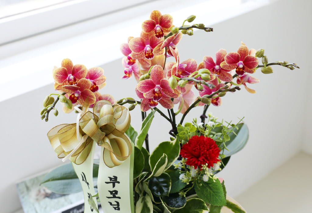 []ϴ   - ȣ  () (ȭ⺯)  ɹ